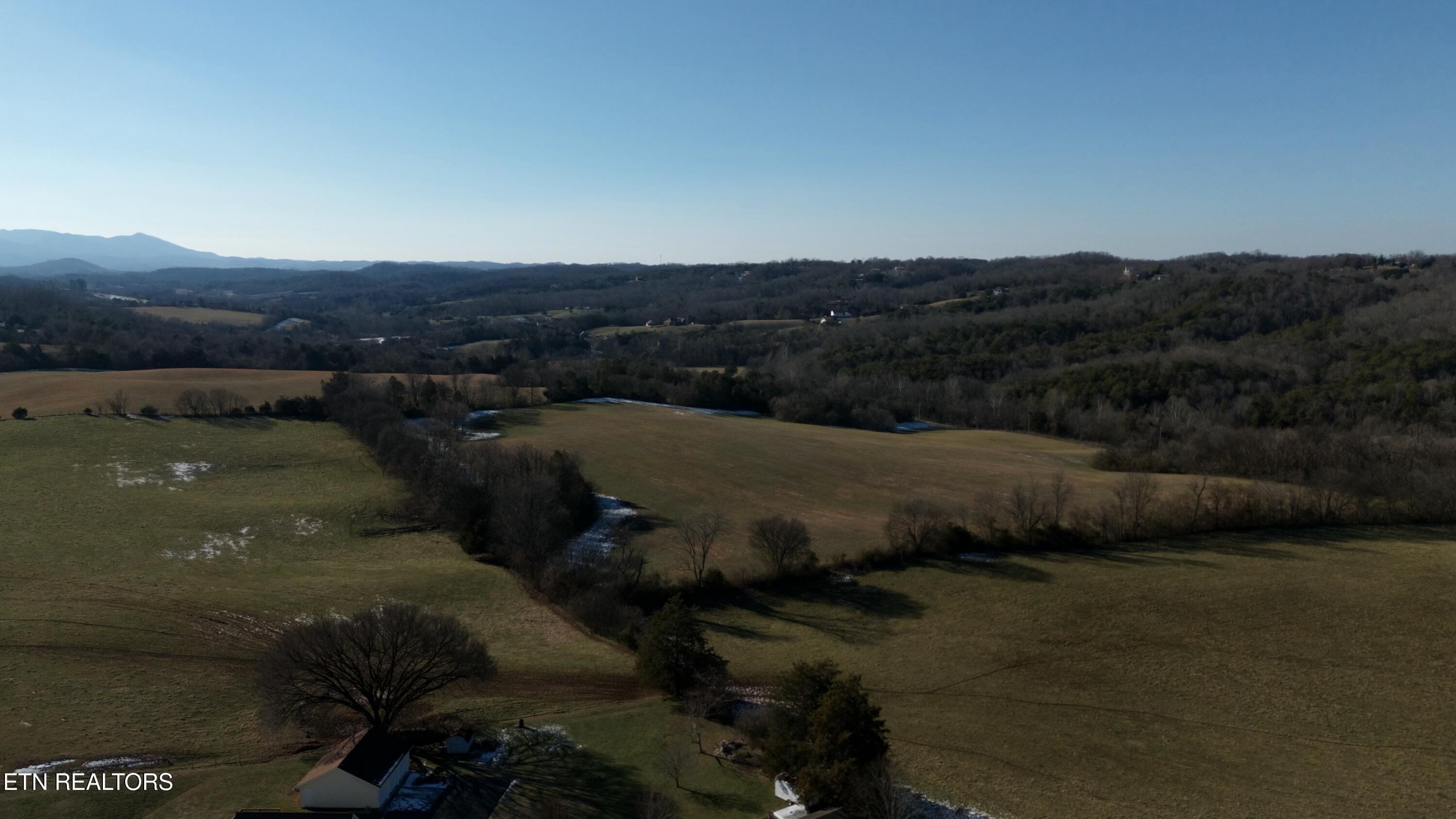 1830 Old Parrottsville Hwy Property Photo 10