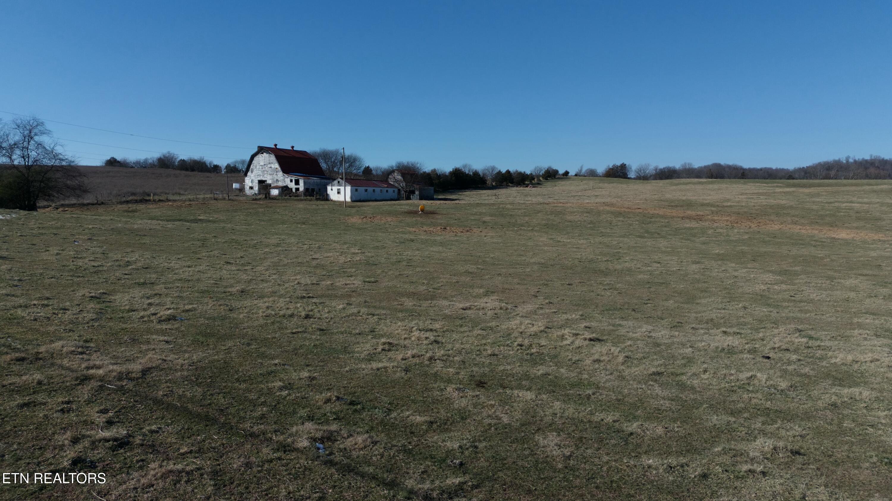 1830 Old Parrottsville Hwy Property Photo 11