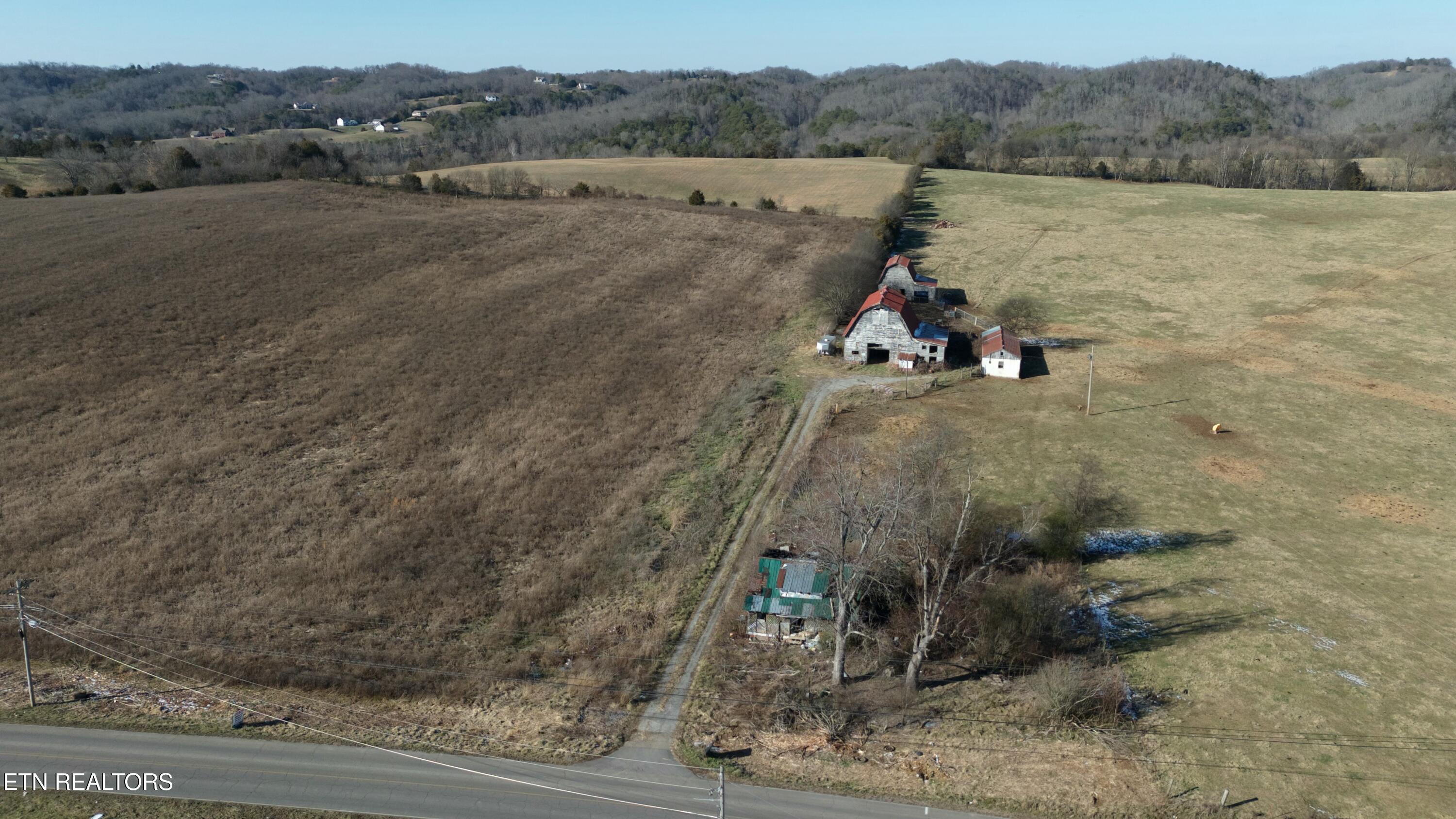 1830 Old Parrottsville Hwy Property Photo 17