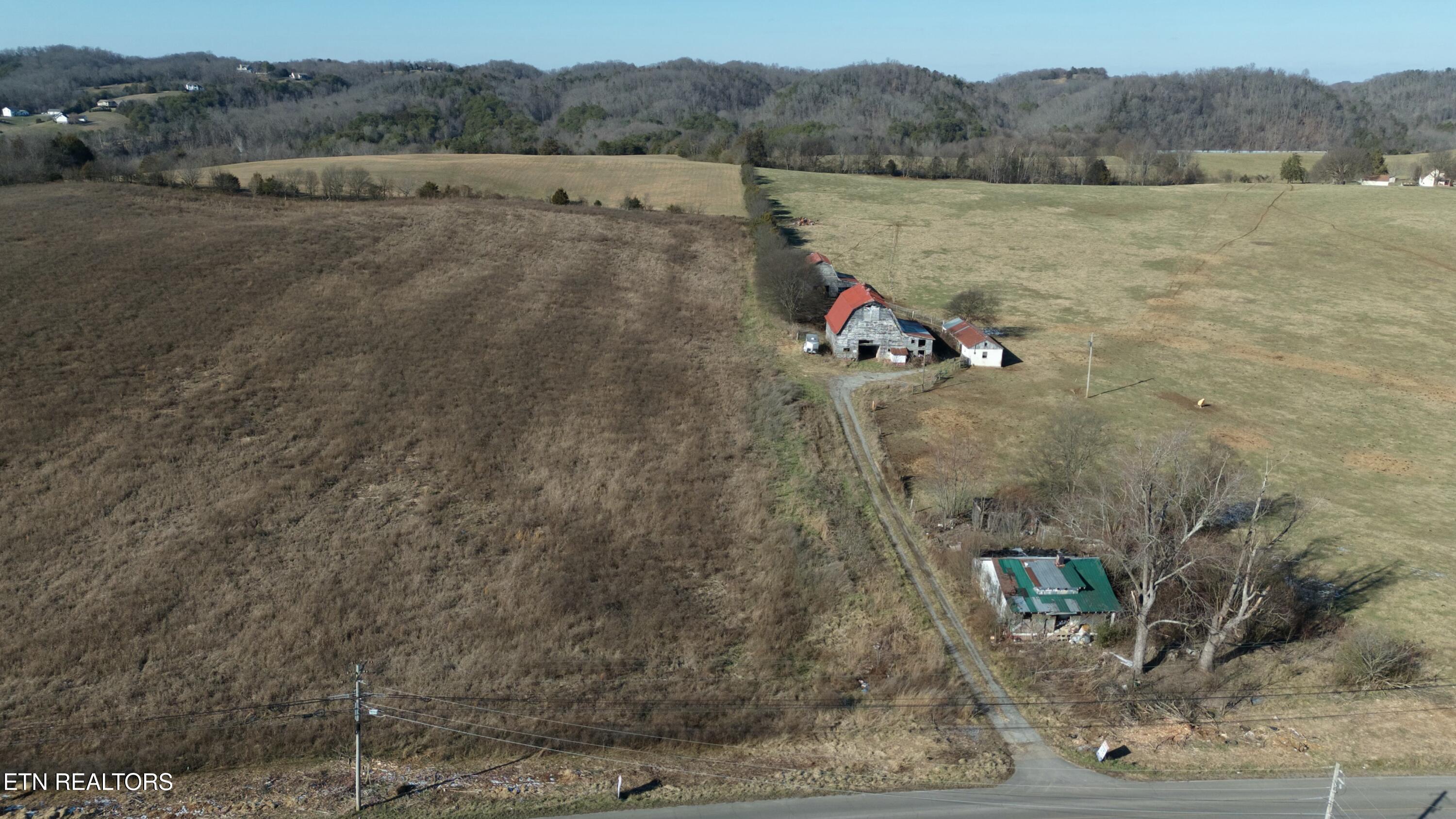 1830 Old Parrottsville Hwy Property Photo 18