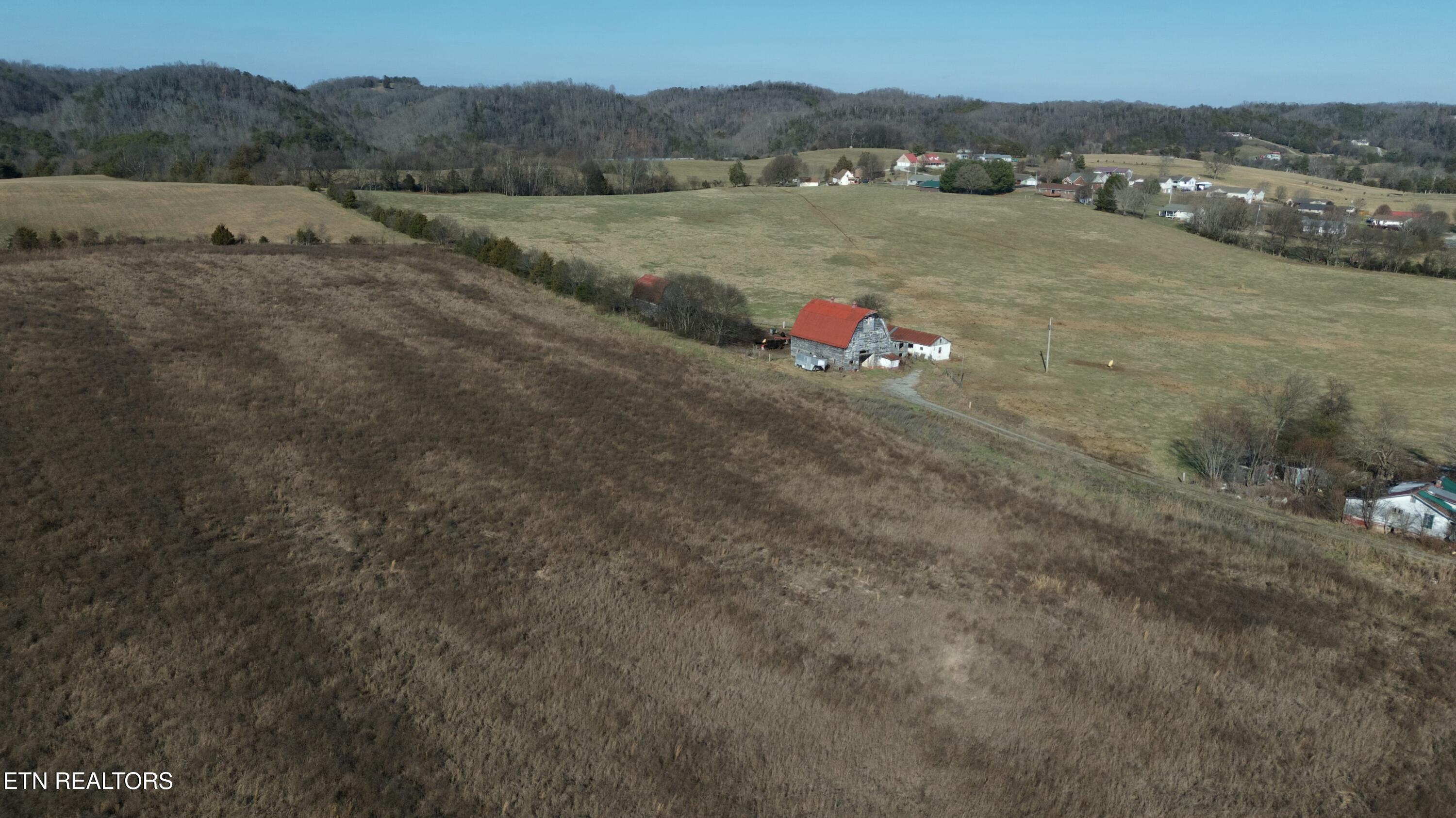 1830 Old Parrottsville Hwy Property Photo 21