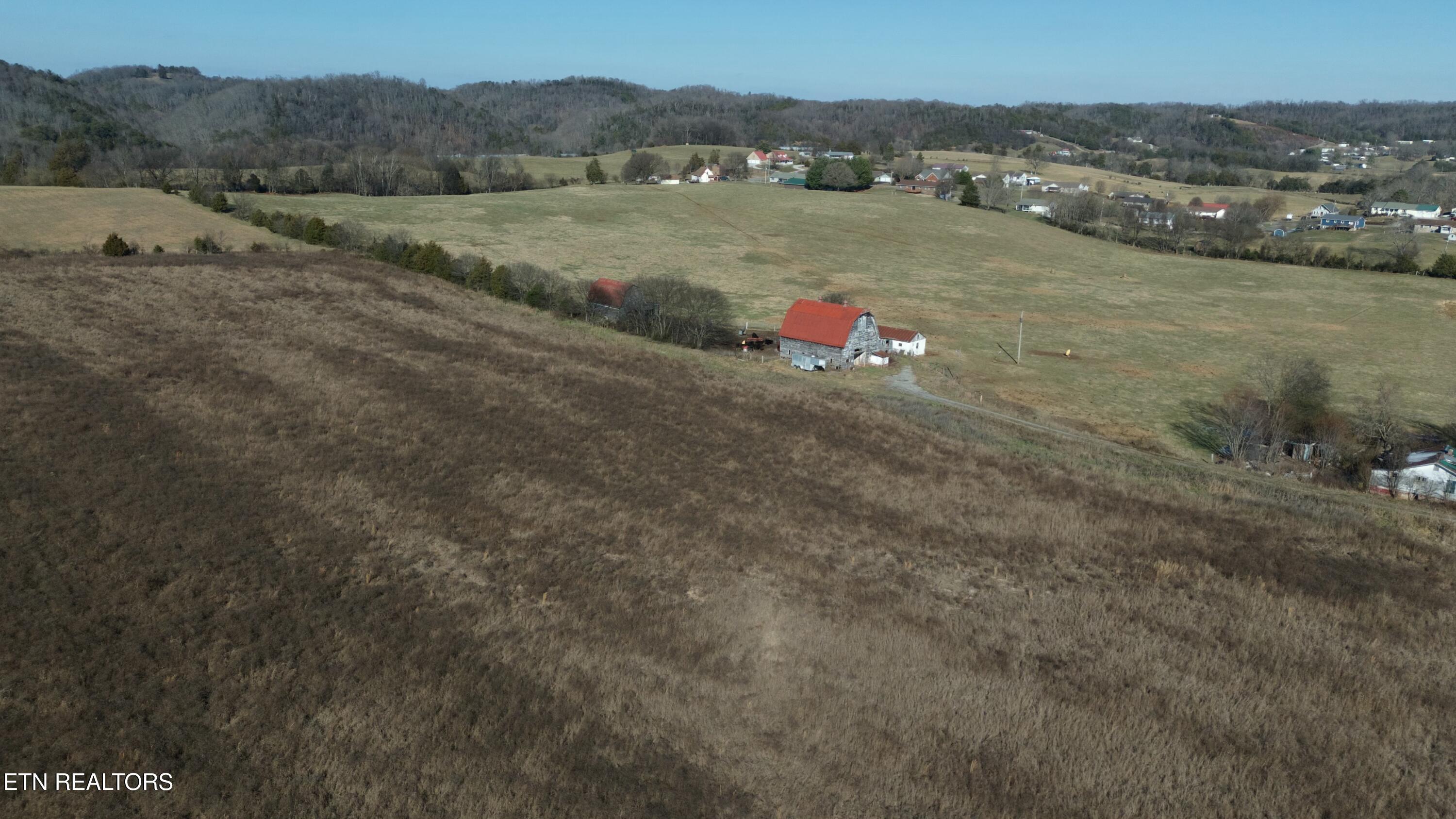1830 Old Parrottsville Hwy Property Photo 22