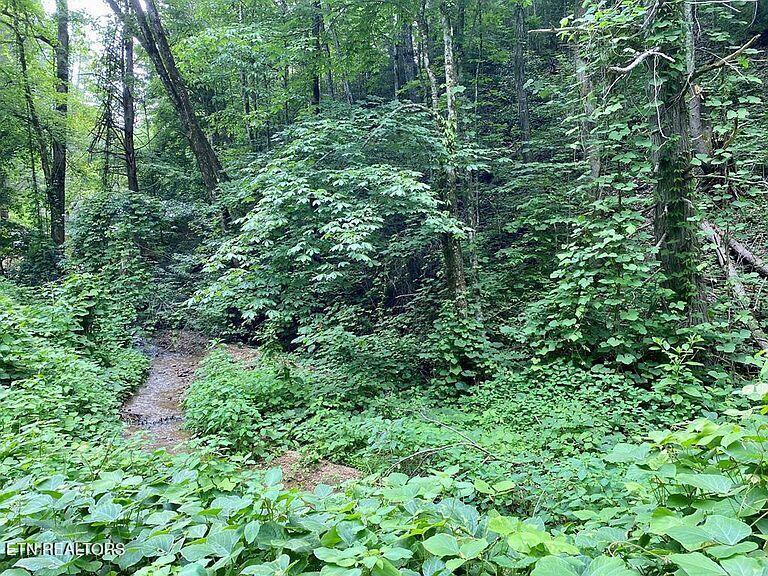 Black Walnut Flats Rd Property Photo