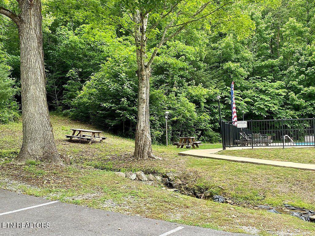 Black Walnut Flats Rd Property Photo 6