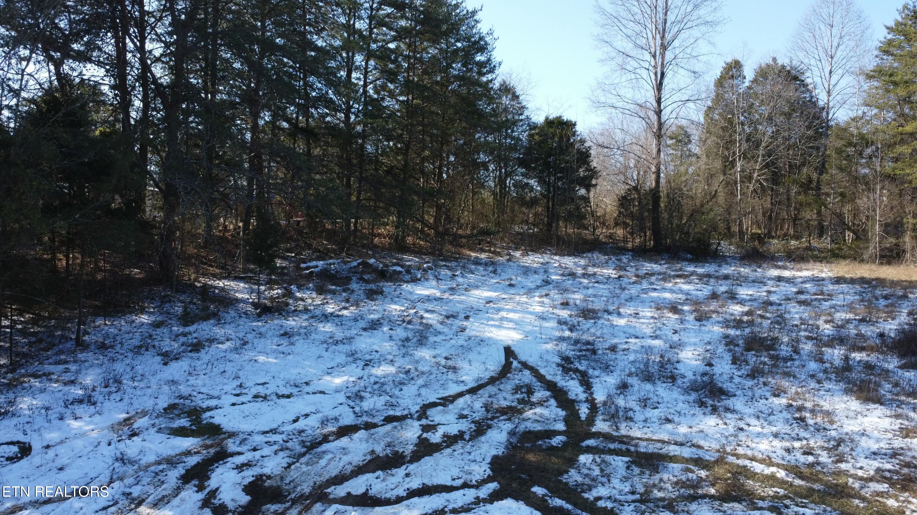 334 S Fork Branch Rd Property Photo 5