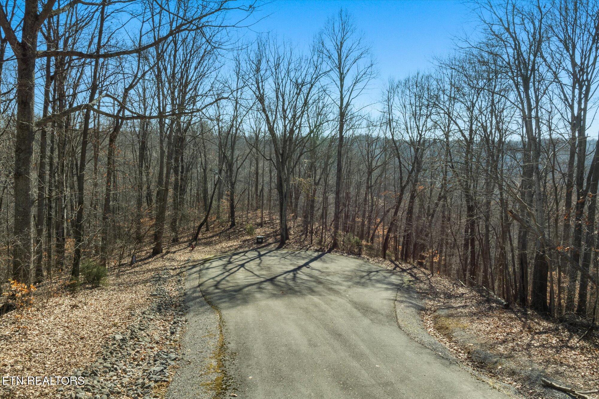 259 Randy Court Property Photo 1