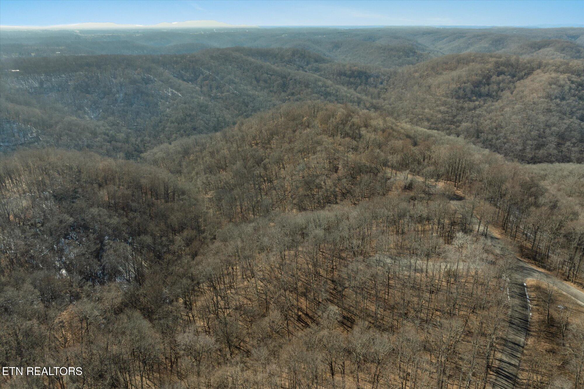 259 Randy Court Property Photo 6