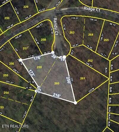 259 Randy Court Property Photo 7