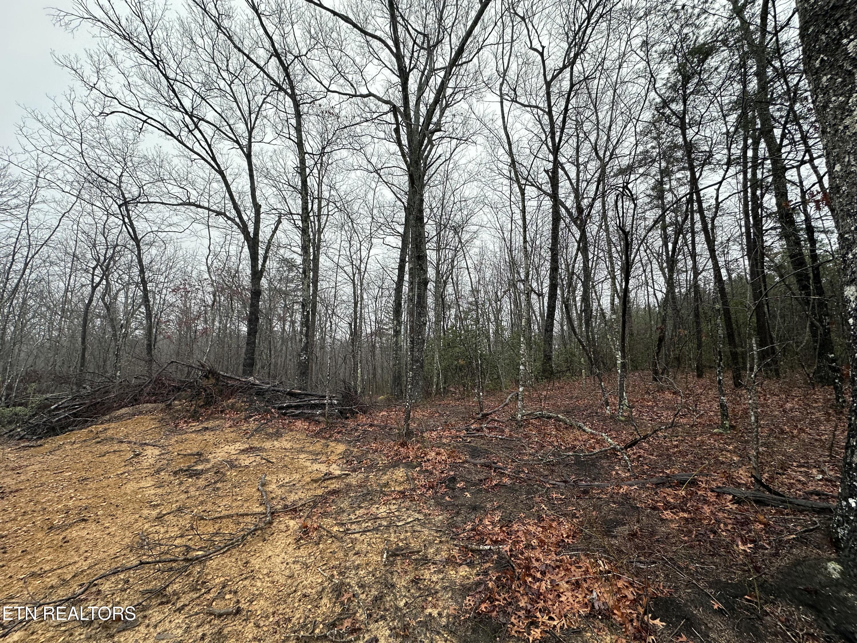 229 Paradise Property Photo 5