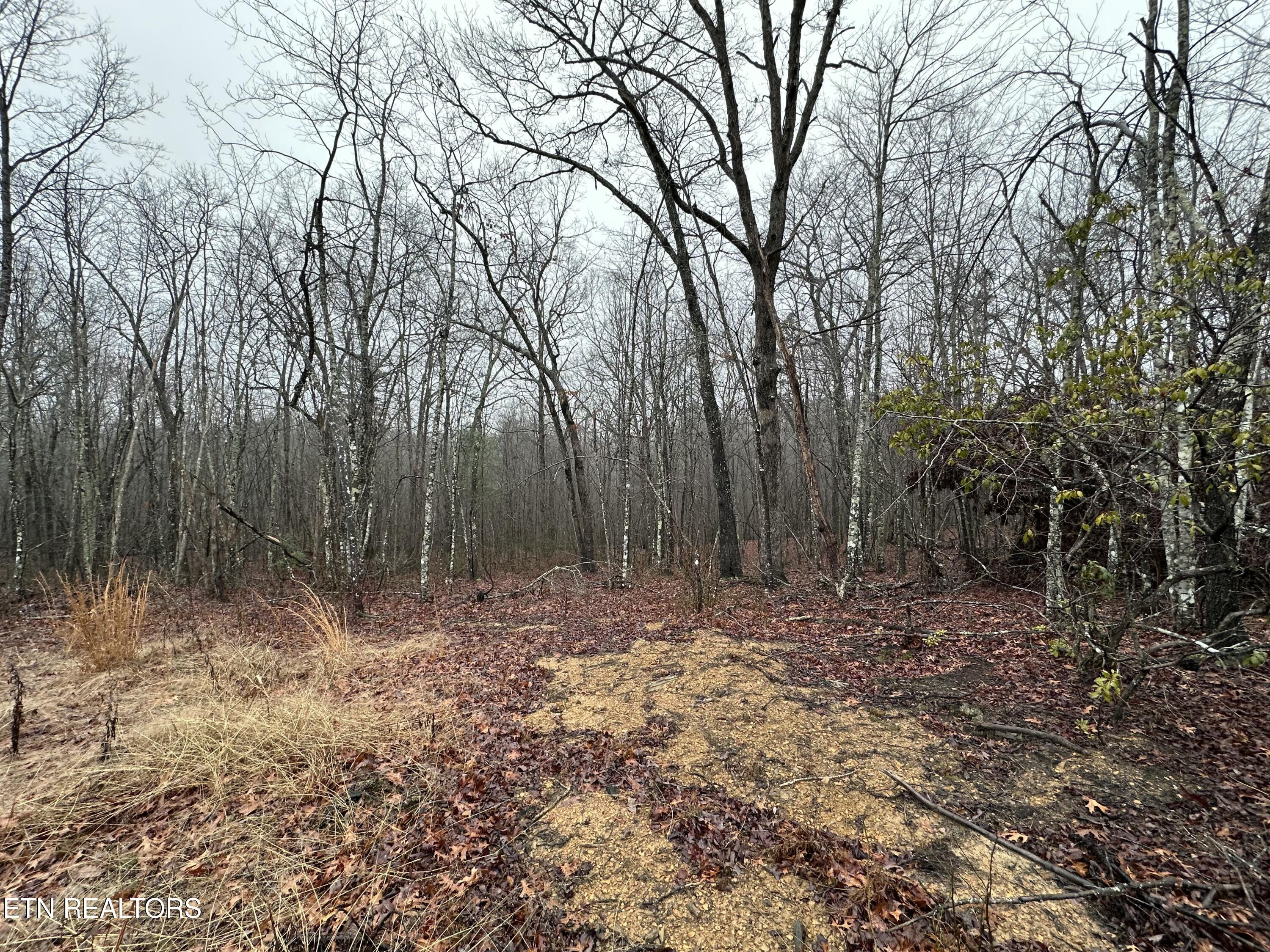 229 Paradise Property Photo 8