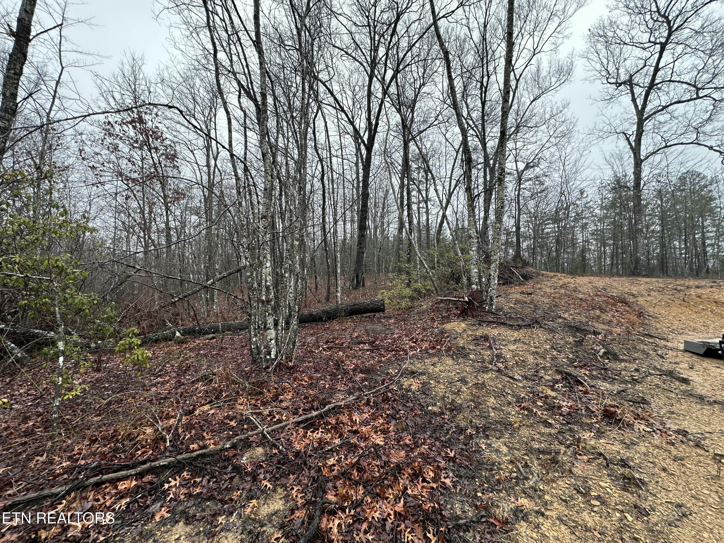 229 Paradise Property Photo 9