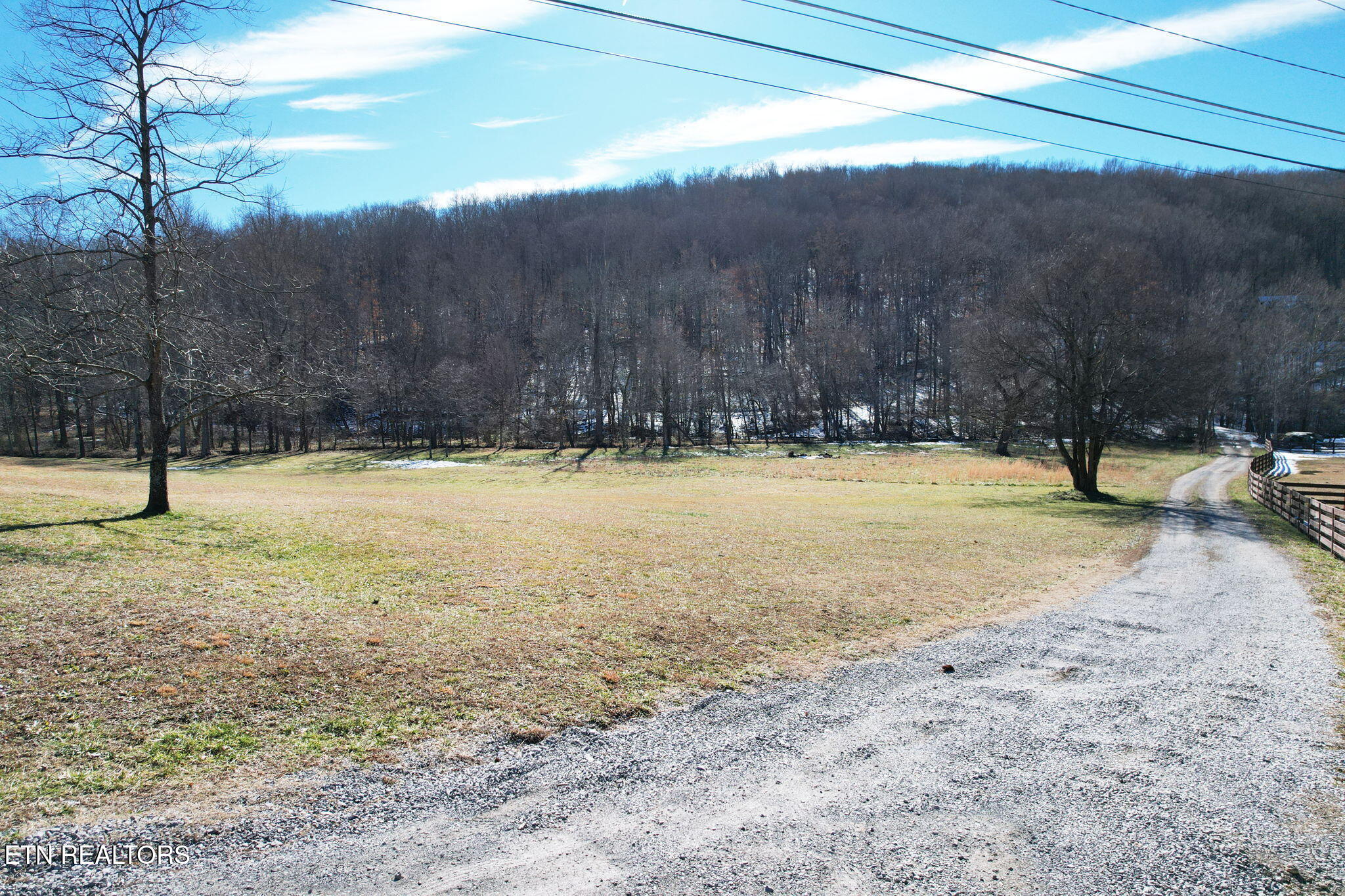 10646 Pine Hill Rd Property Photo 6