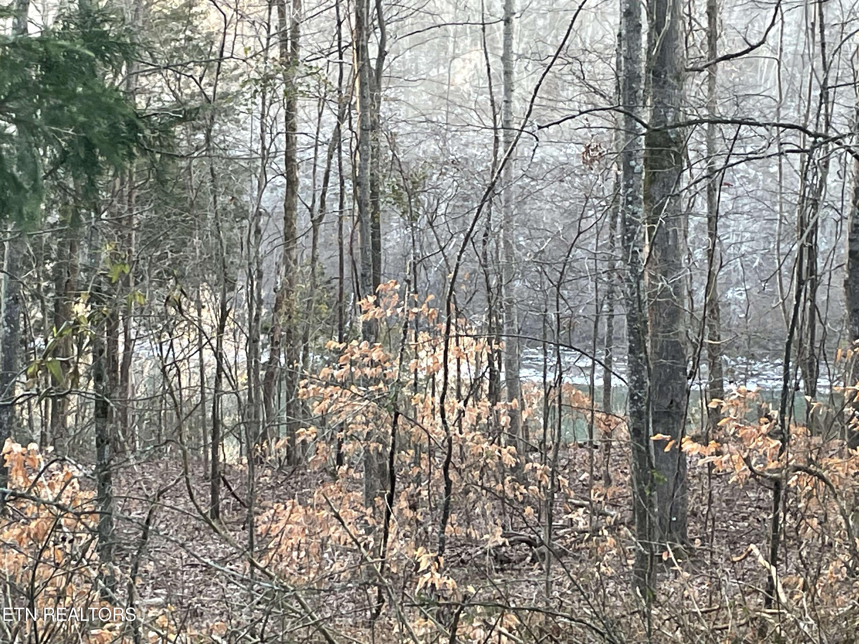 2.28 Acres Pates Ford Rd Property Photo 4