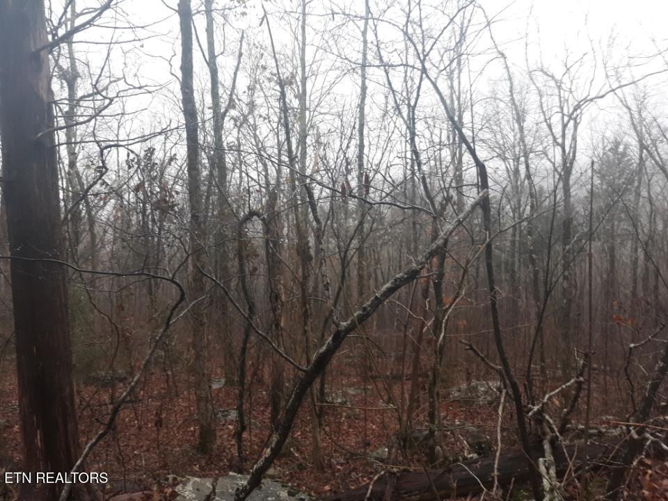 Crab Mountain Rd Property Photo 3