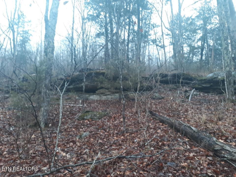Crab Mountain Rd Property Photo 5