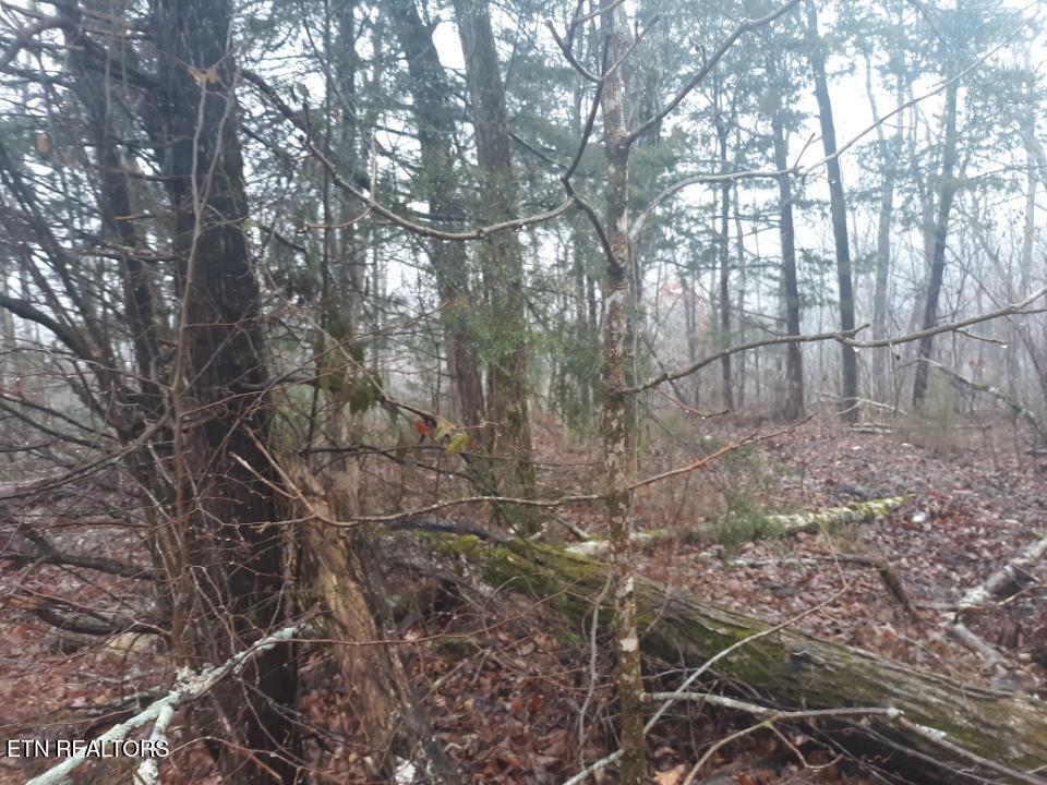 Crab Mountain Rd Property Photo 6