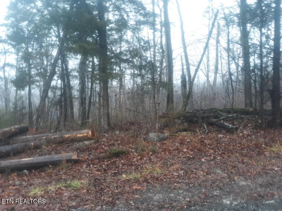 Crab Mountain Rd Property Photo 7