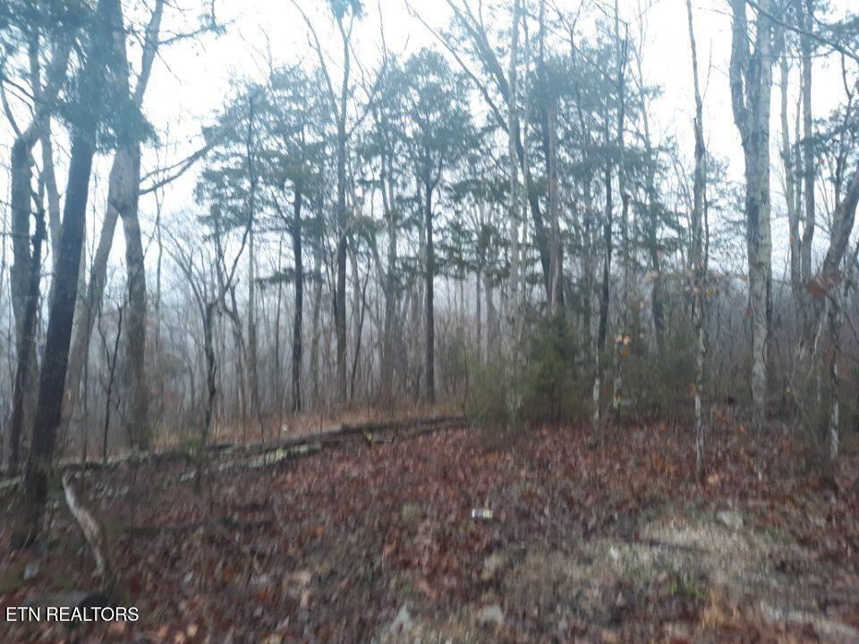 Crab Mountain Rd Property Photo 8