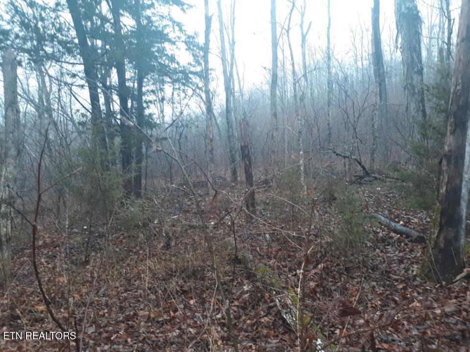 Crab Mountain Rd Property Photo 10