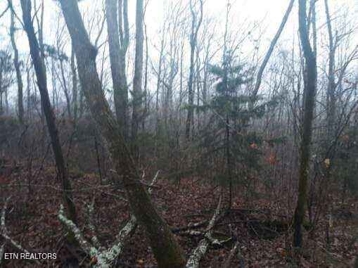 Crab Mountain Rd Property Photo 11