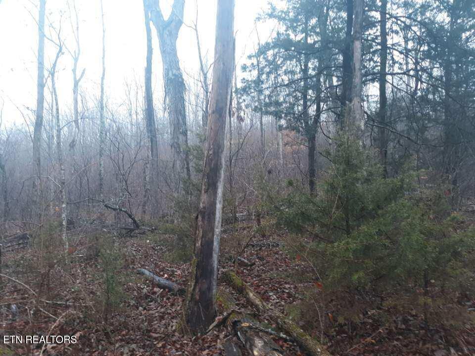 Crab Mountain Rd Property Photo 12