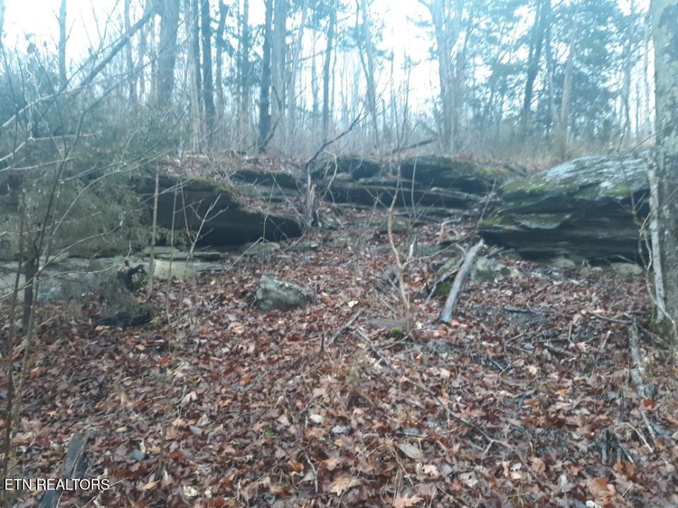 Crab Mountain Rd Property Photo 15