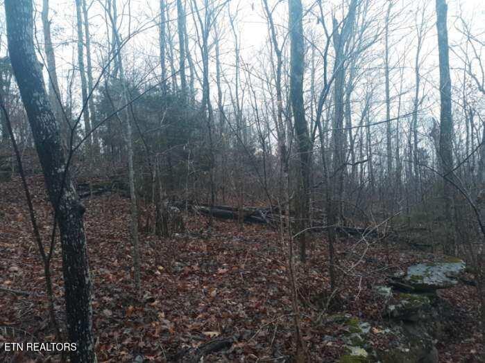 Crab Mountain Rd Property Photo 16