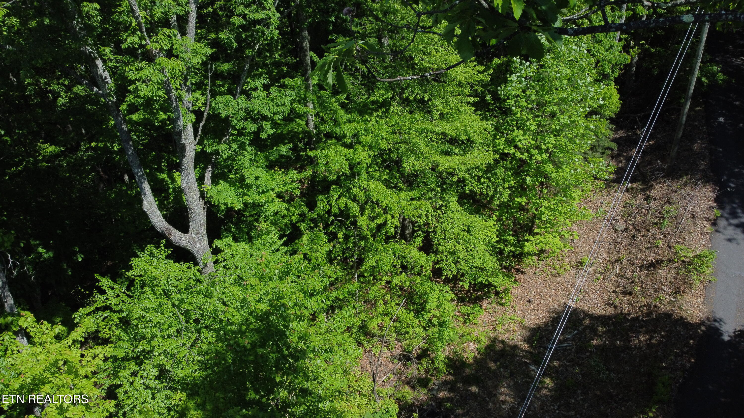 Lot 2 High Ridge Way Property Photo 15