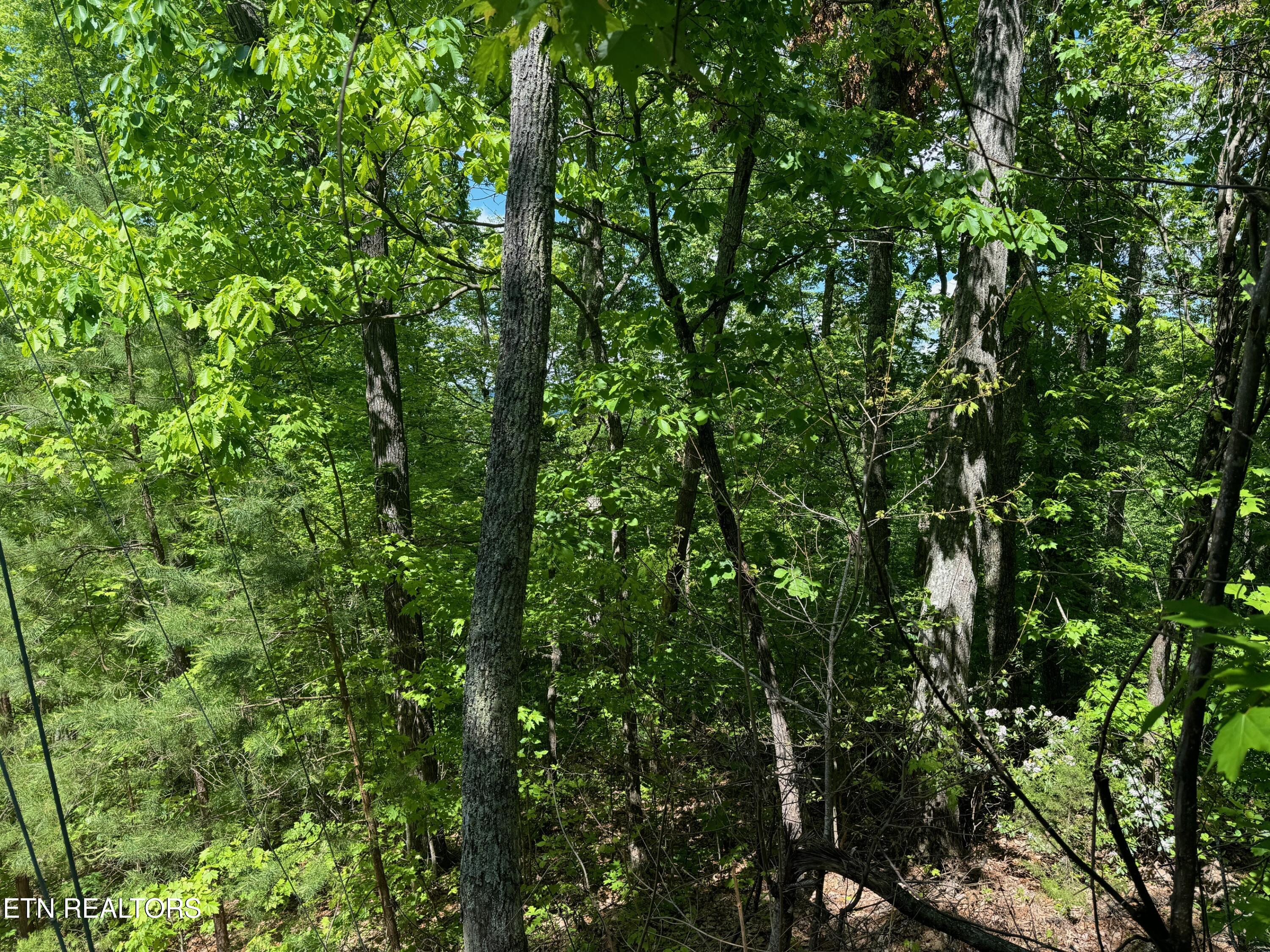 Lot 2 High Ridge Way Property Photo 16