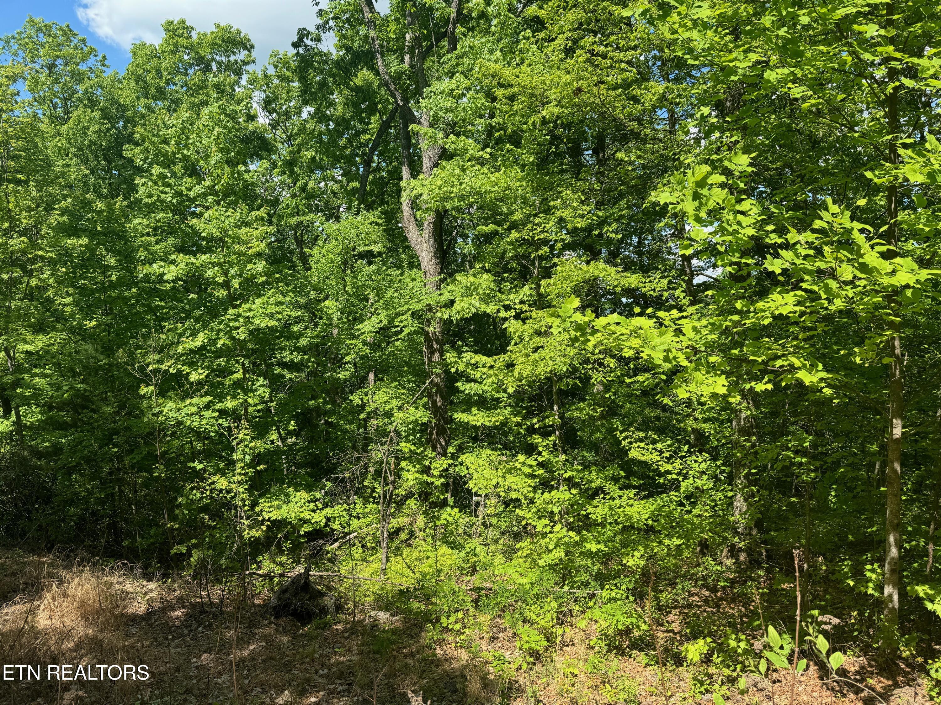 Lot 2 High Ridge Way Property Photo 17