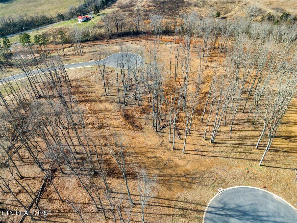 Inlet Cv Property Photo 4