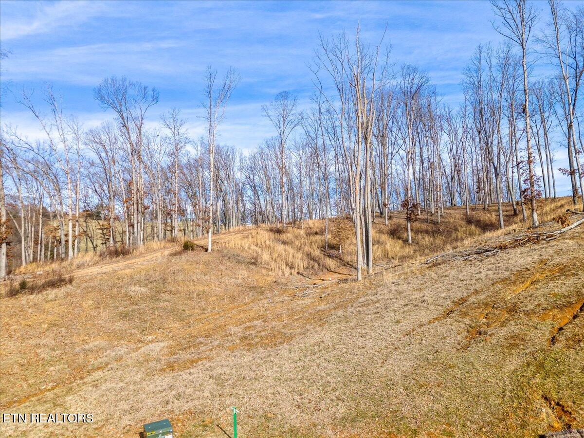 Inlet Cv Property Photo 10