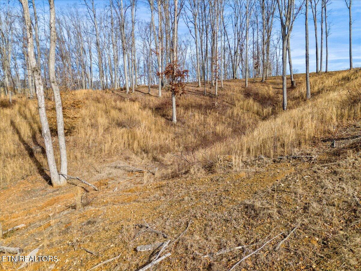 Inlet Cv Property Photo 12