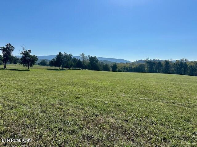5812 Indian Warpath Rd Property Photo 2