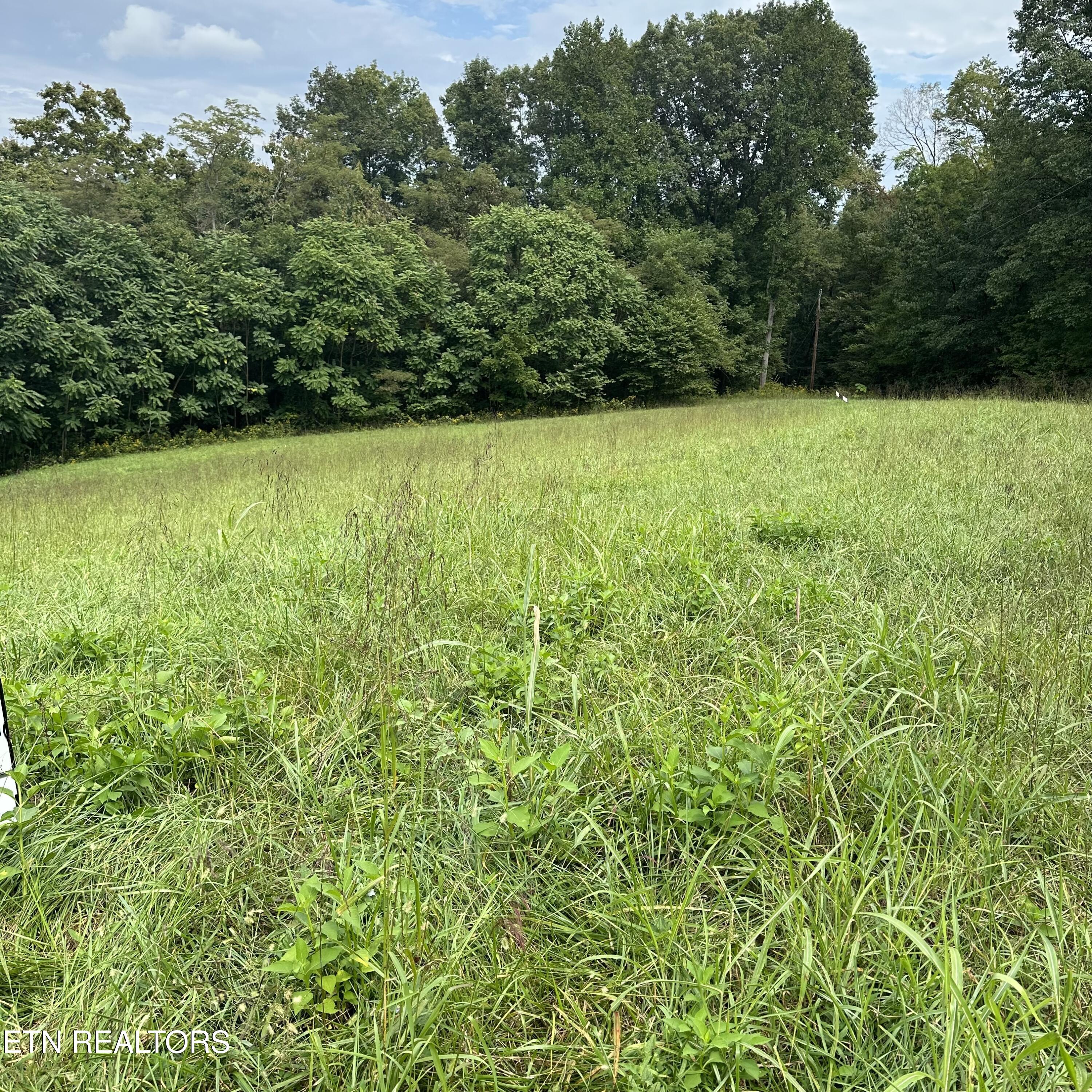 Overton Rd Property Photo 5