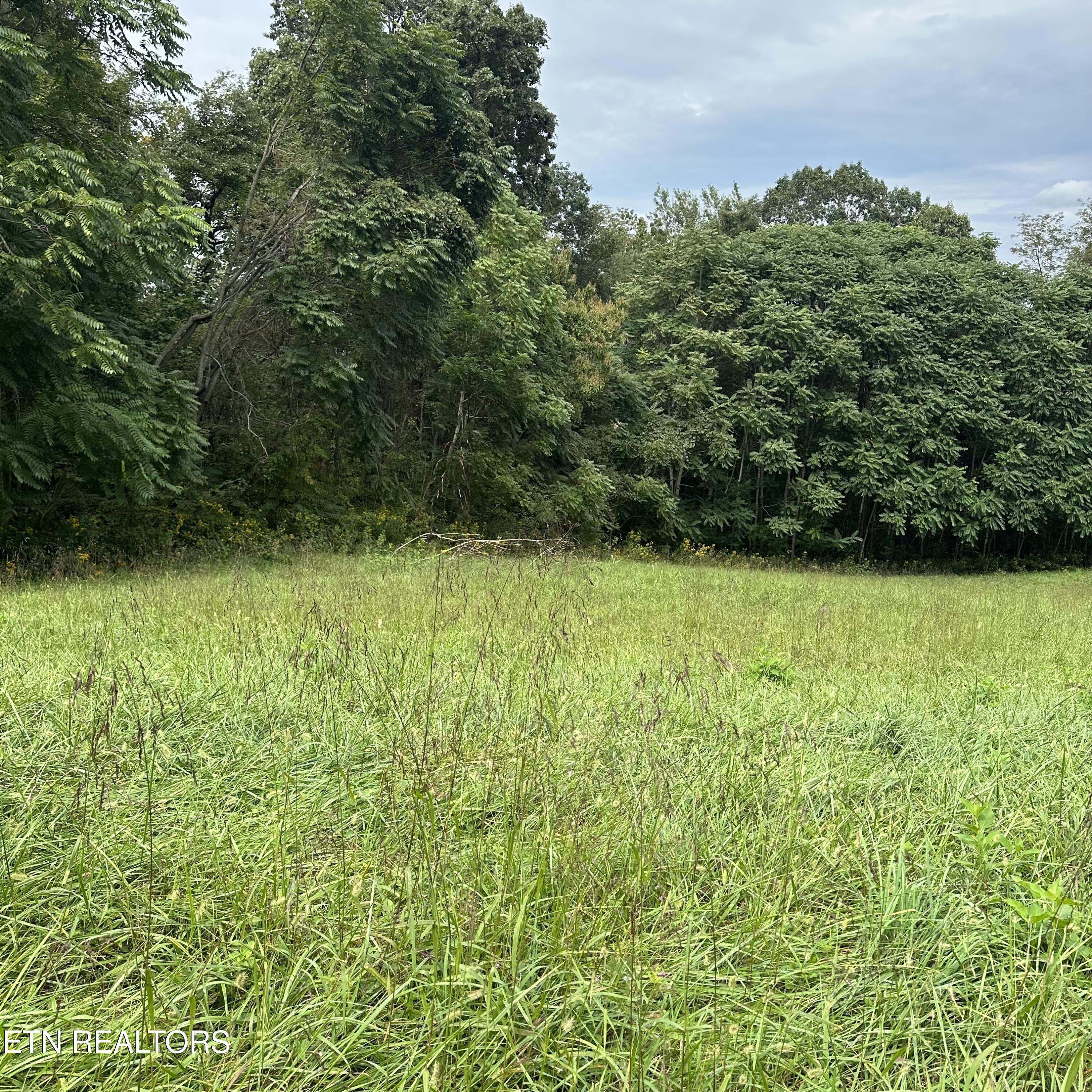 Overton Rd Property Photo 6