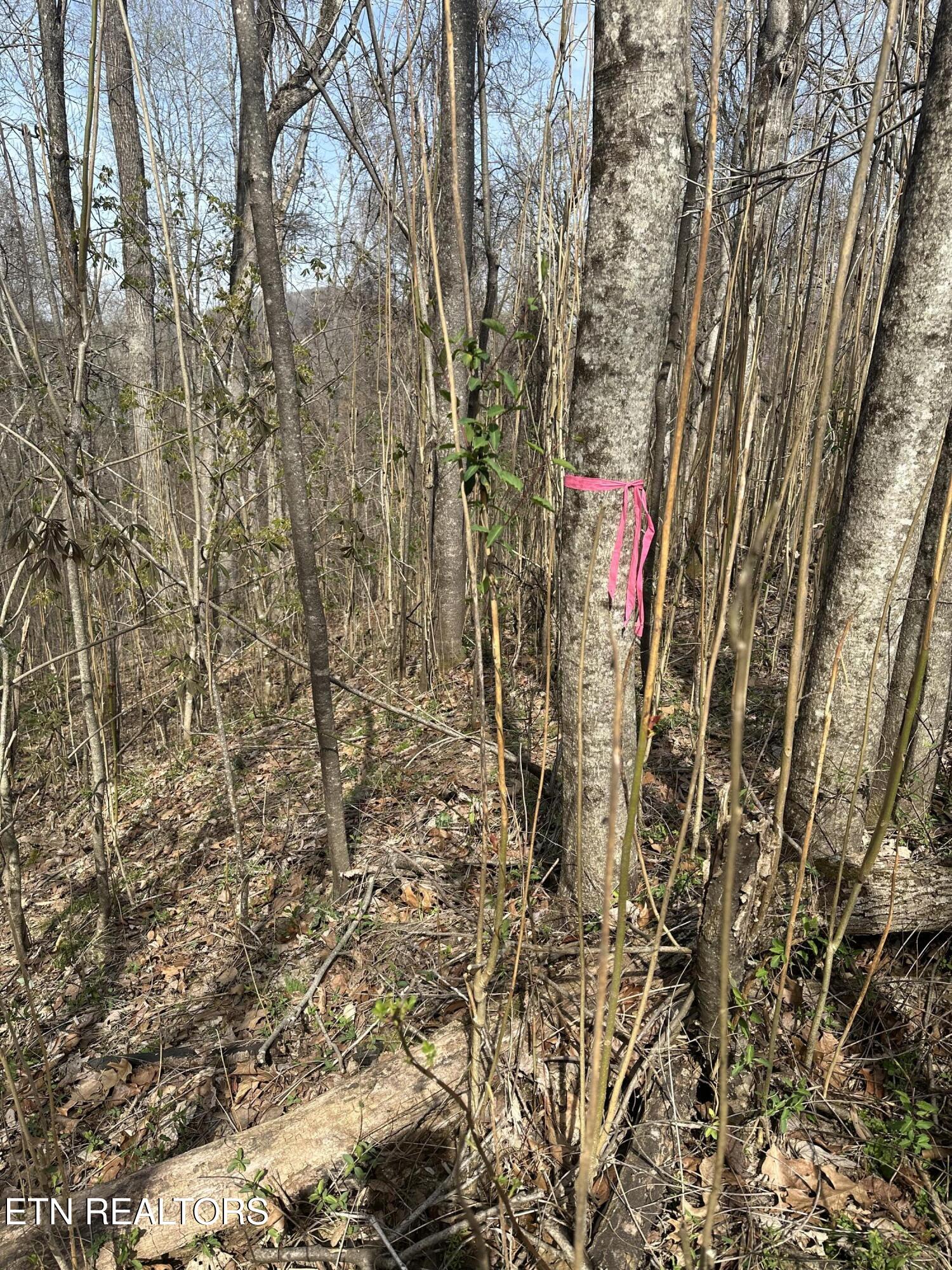 Overton Rd Property Photo 17