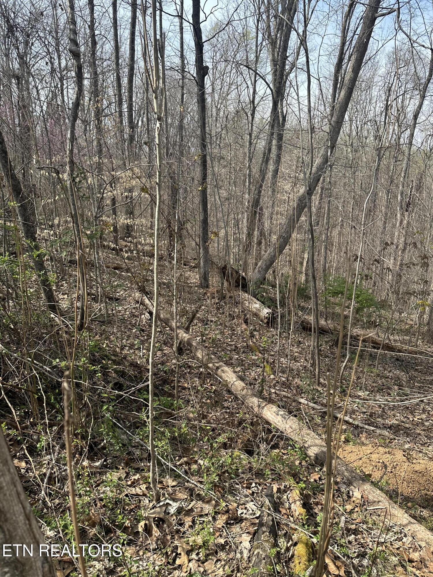 Overton Rd Property Photo 19