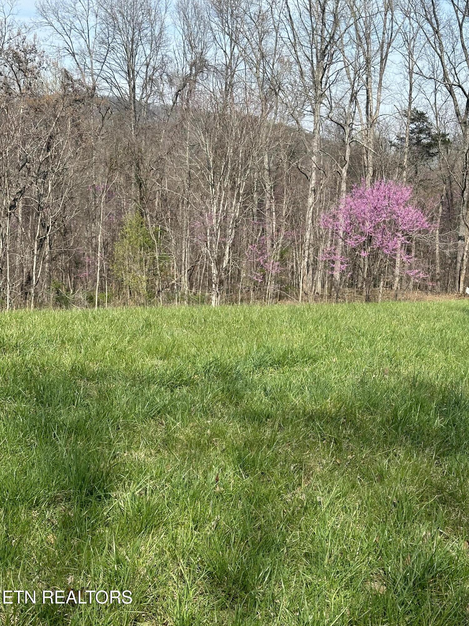 Overton Rd Property Photo 20