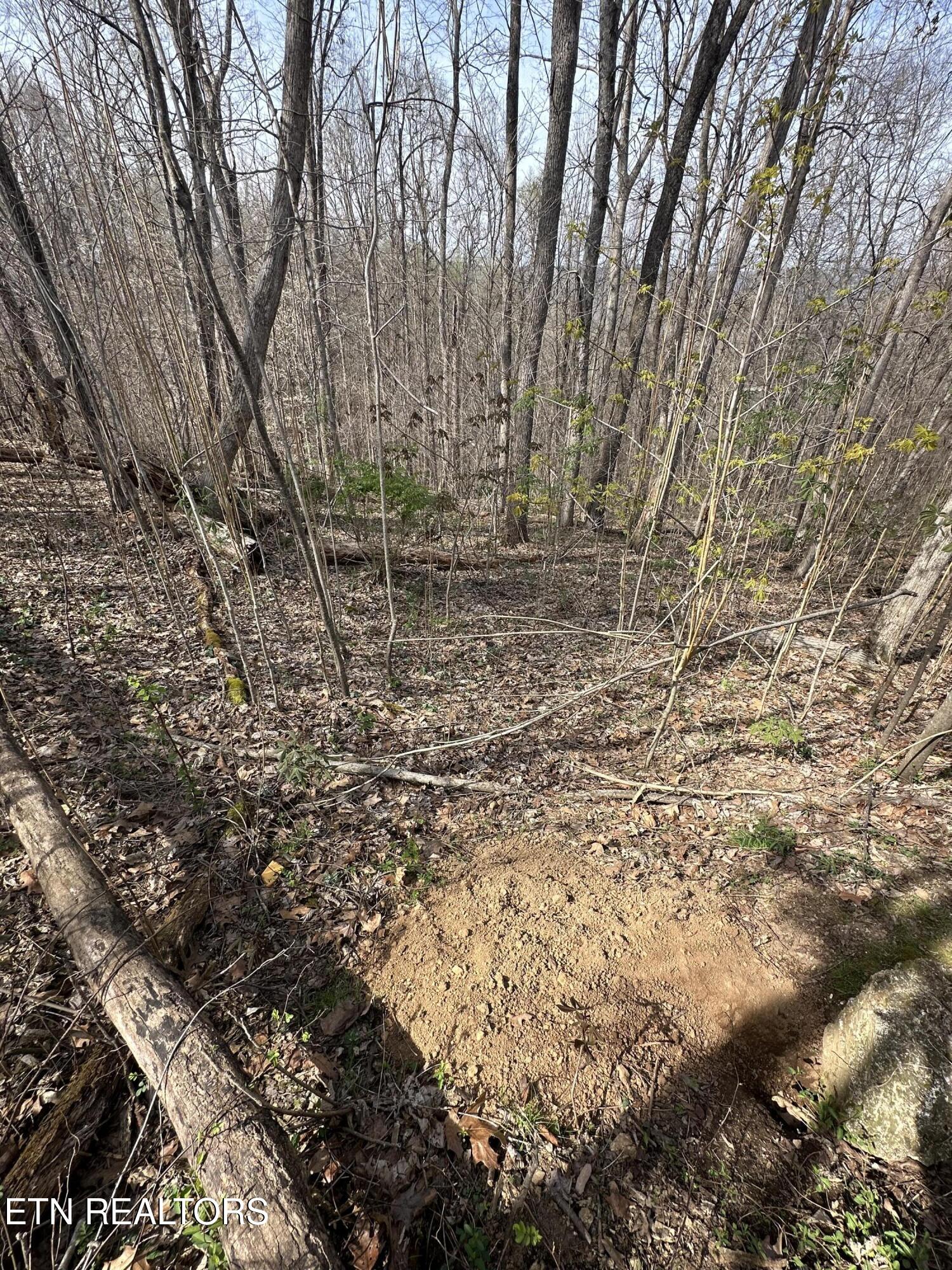Overton Rd Property Photo 22