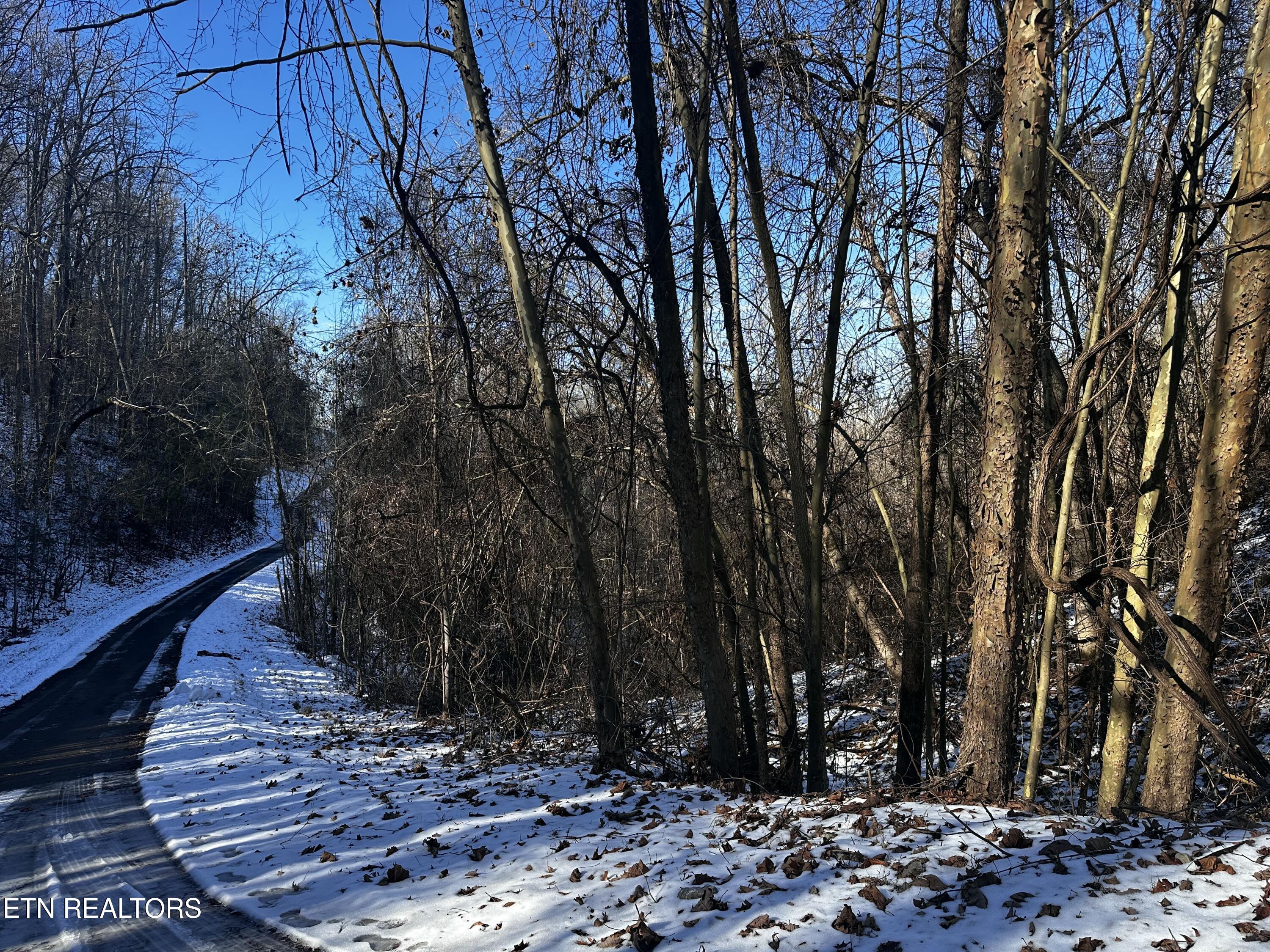 Lot 302 Garfield Lane Property Photo