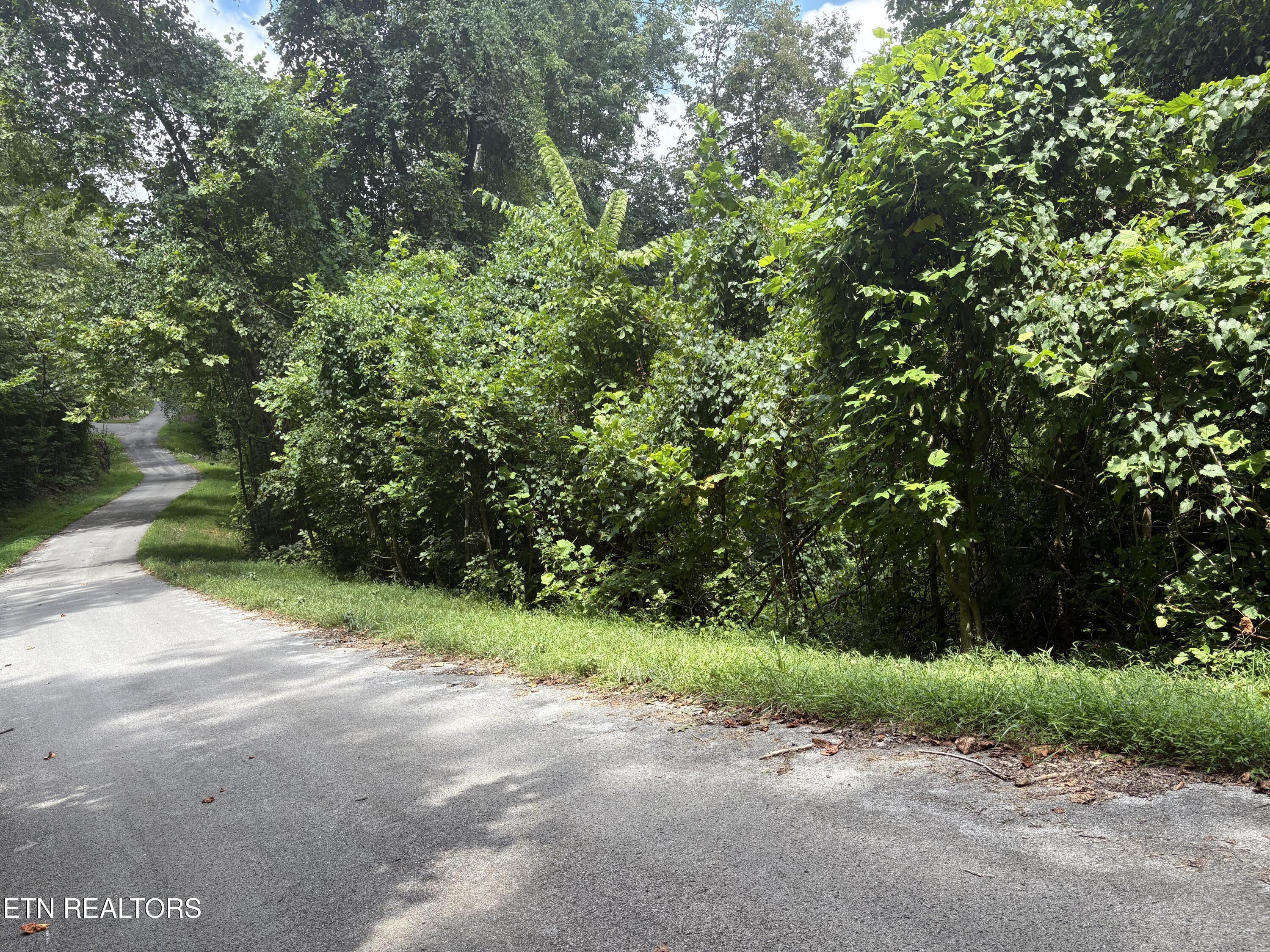 Lot 302 Garfield Lane Property Photo 2