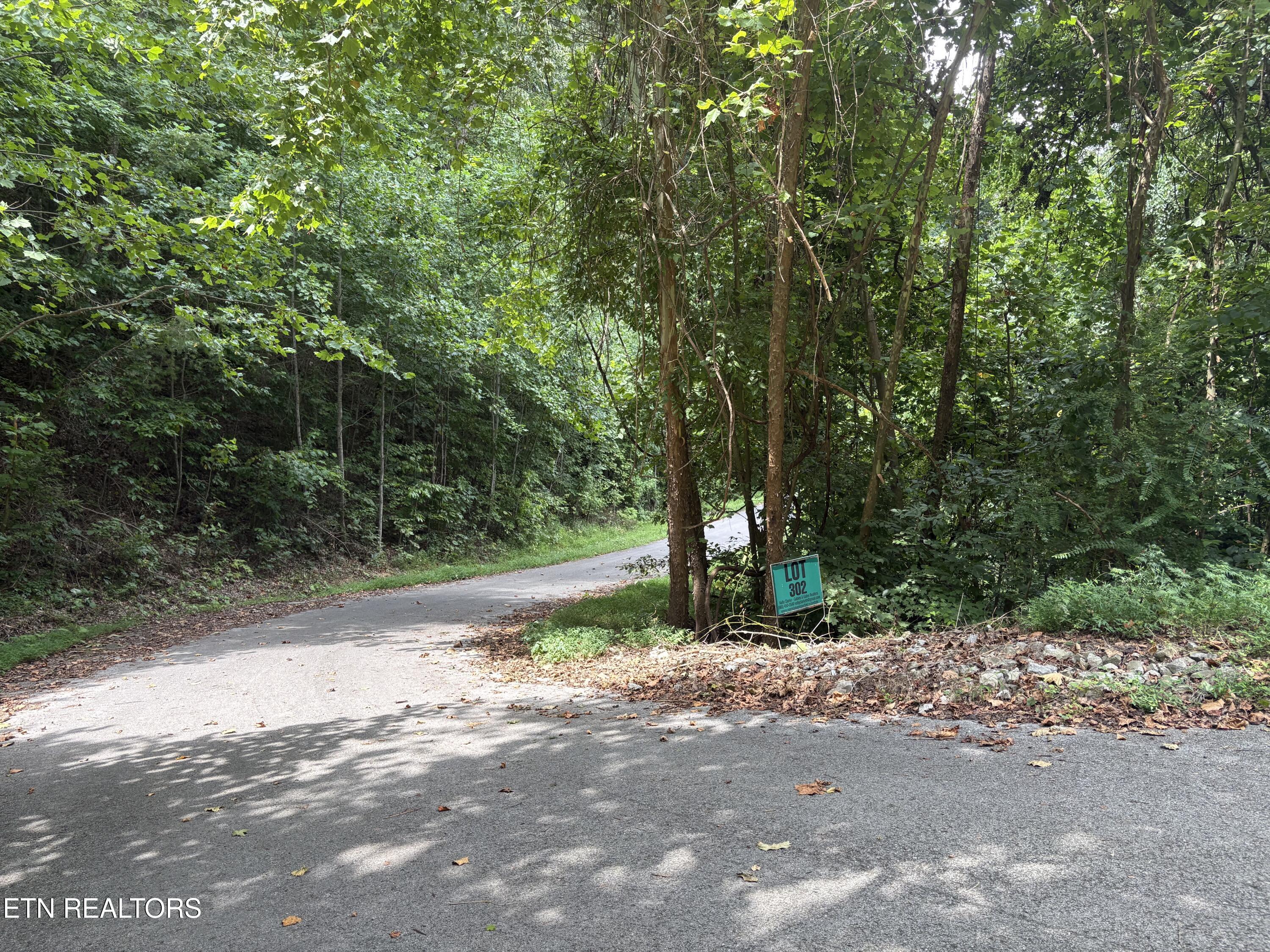 Lot 302 Garfield Lane Property Photo 4