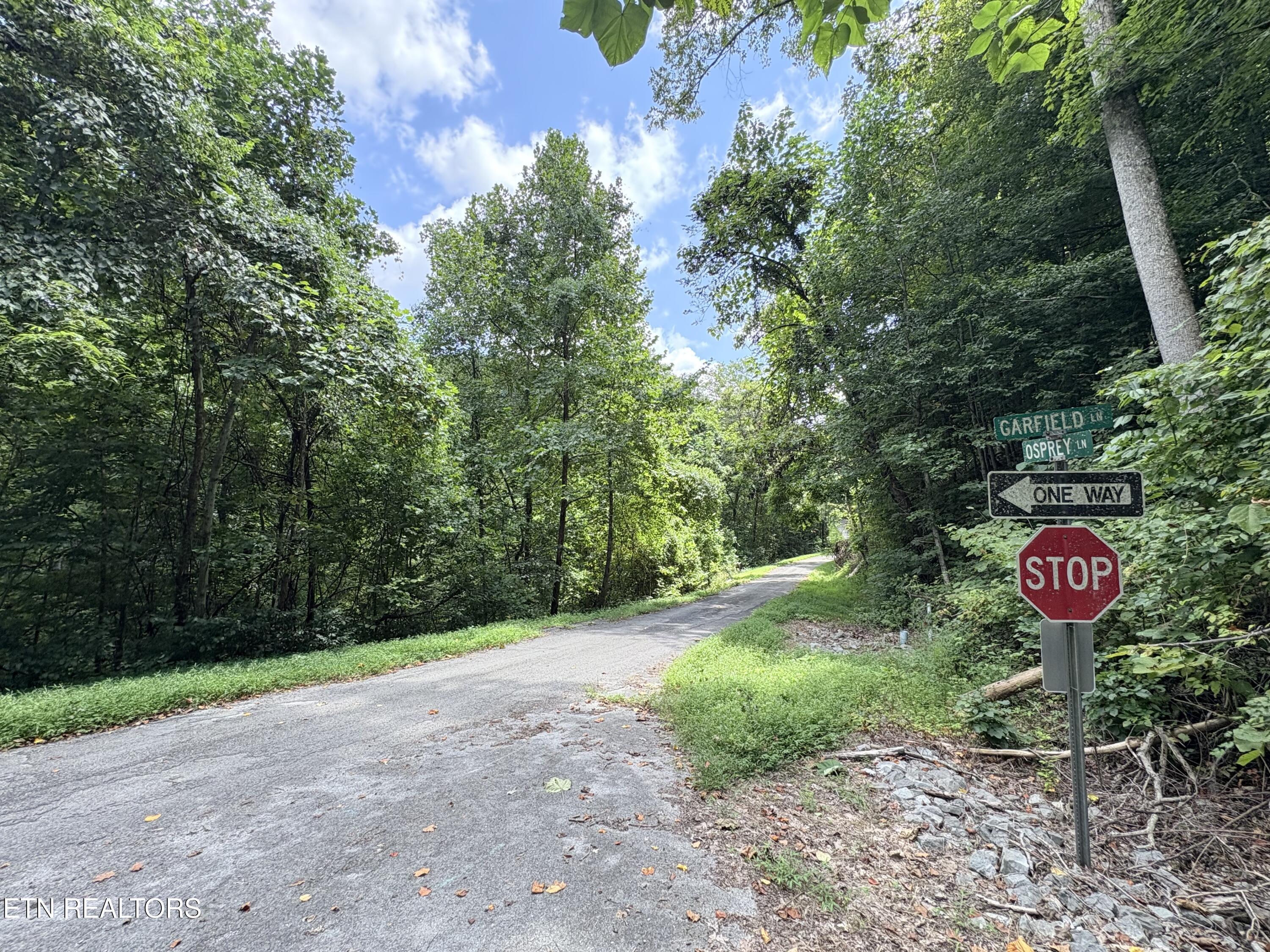 Lot 302 Garfield Lane Property Photo 5