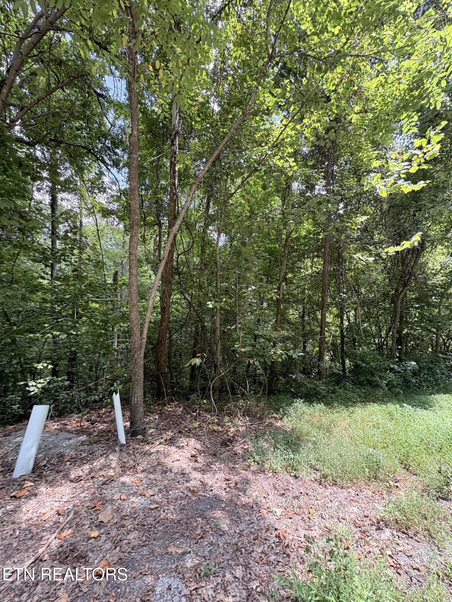 Lot 302 Garfield Lane Property Photo 6