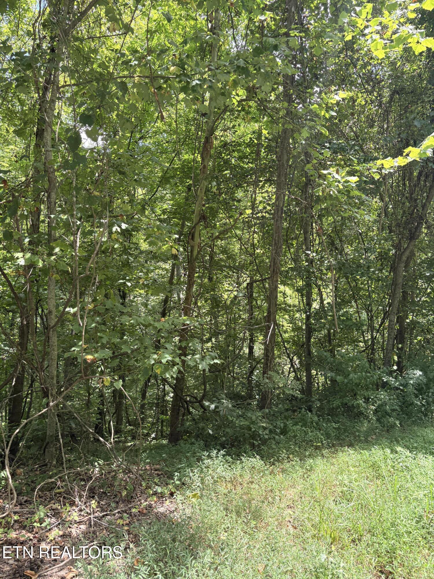Lot 302 Garfield Lane Property Photo 7