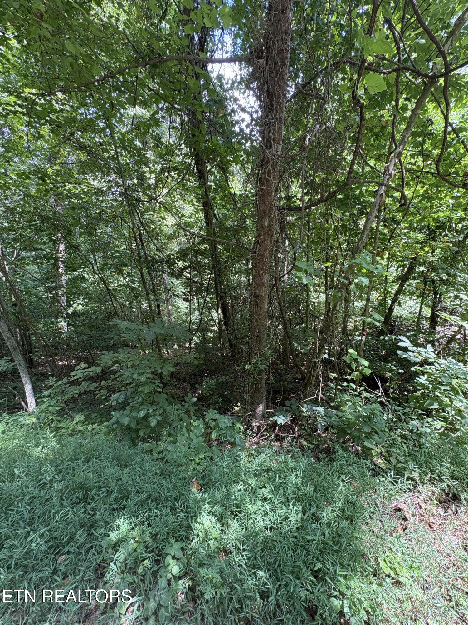 Lot 302 Garfield Lane Property Photo 8