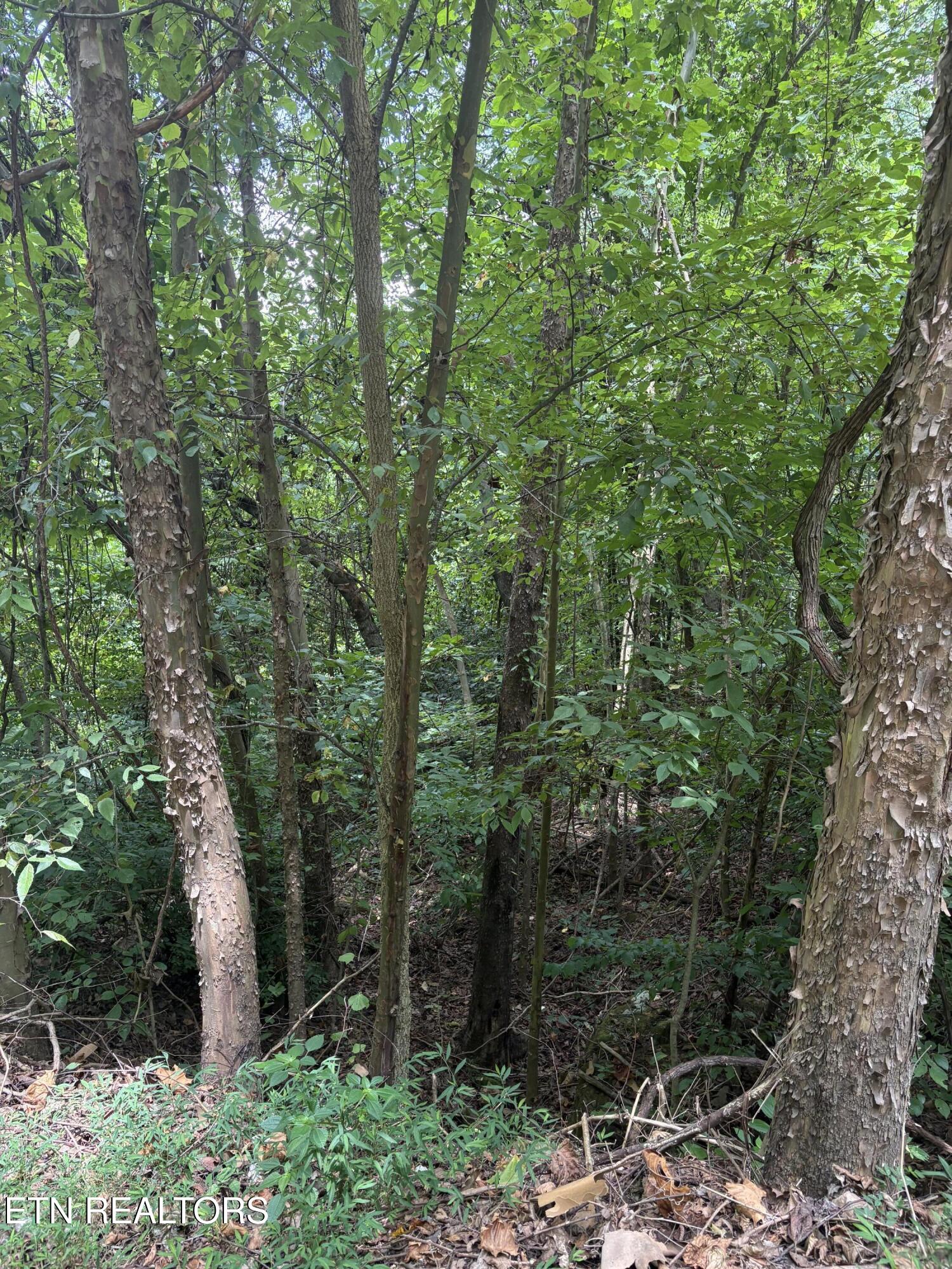Lot 302 Garfield Lane Property Photo 9