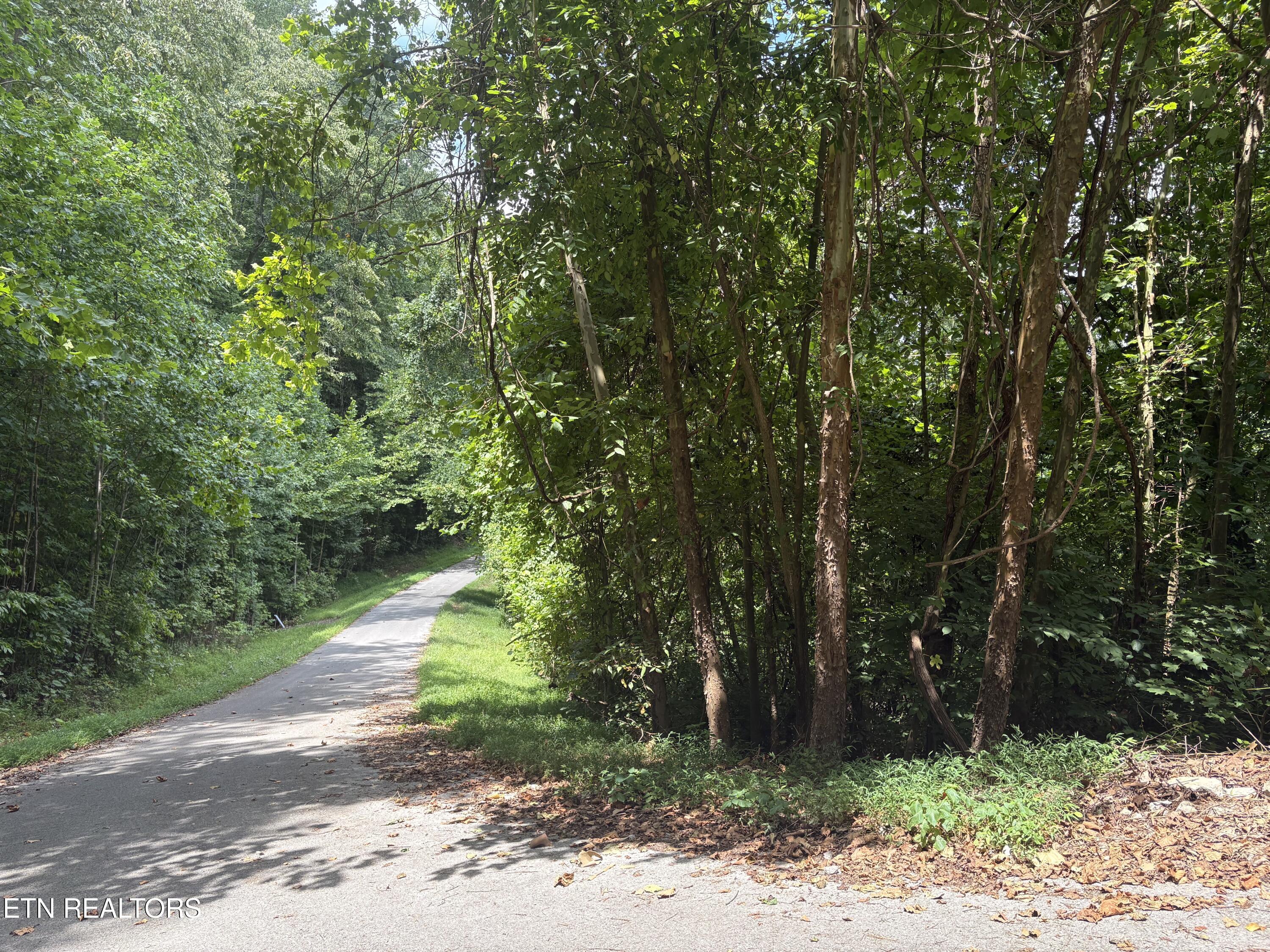 Lot 302 Garfield Lane Property Photo 10