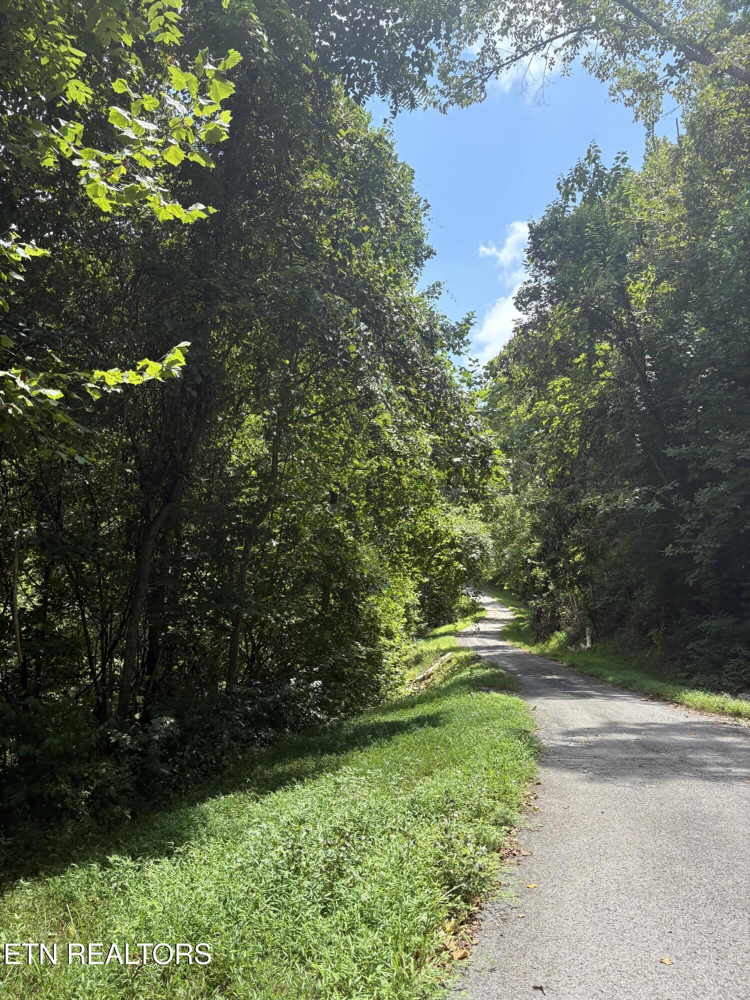 Lot 302 Garfield Lane Property Photo 11